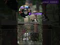 Überraschungs-Kill am Shelter!