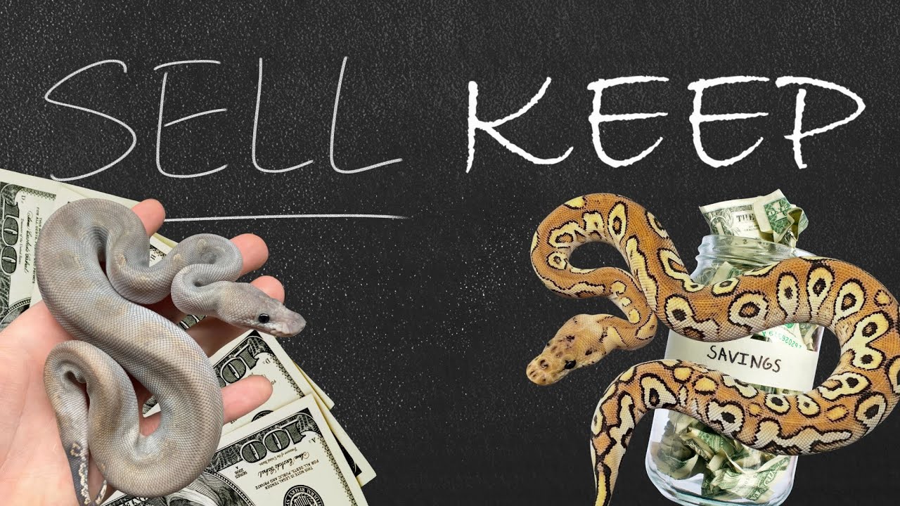 Продать или оставить? 7 советов для принятия правильных решений