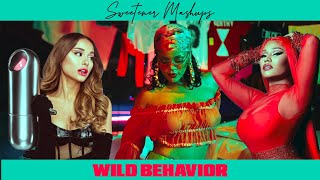 Sweetener Mashups - Wild Behavior [DJ Khaled / Rihanna / Ariana Grande / Nicki Minaj]