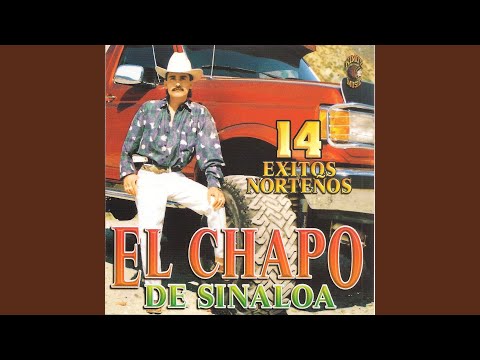 Video: El Chapo De Sinaloa Vill Bli Borgmästare