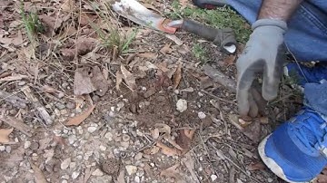 OLD PARK HOUSE SITE & RING minelab e trac