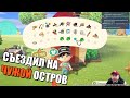 Animal Crossing: New Horizons с Denis Major: изучаем весь остров