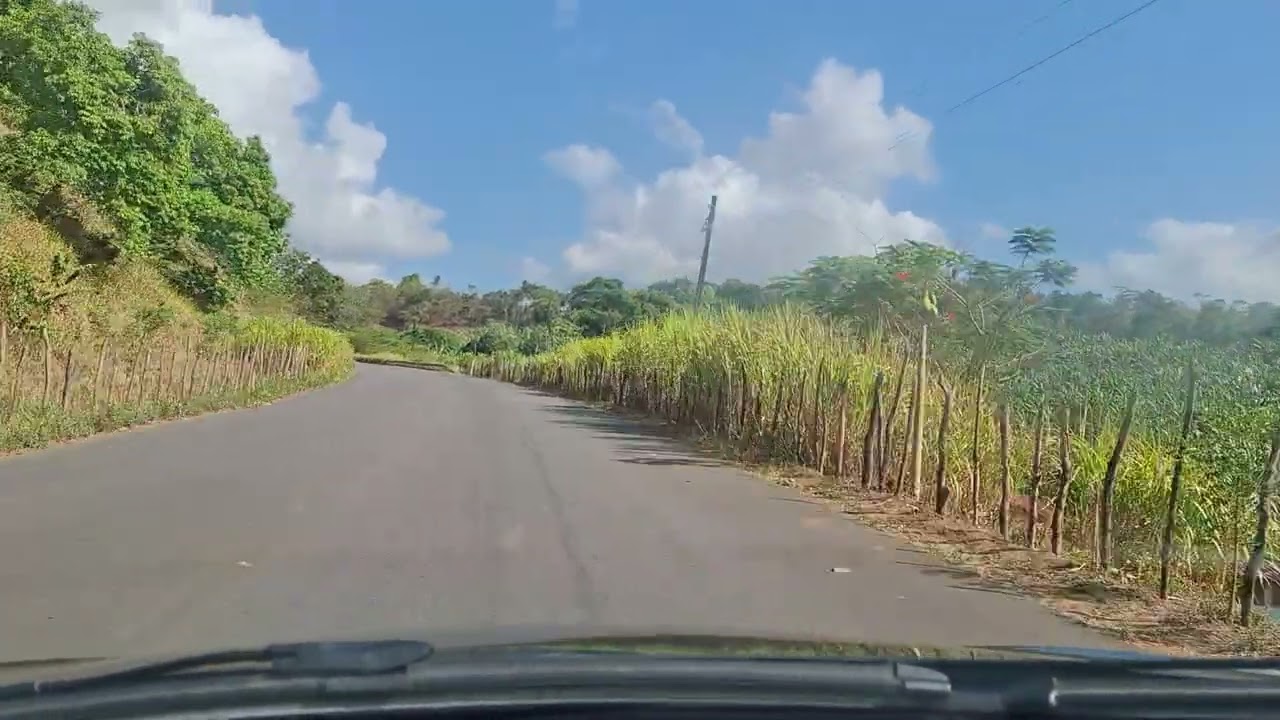 Saindo de lagoa comprida, para casa da mamãe.
