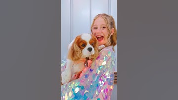 Like Nastya - Fly Girl verse