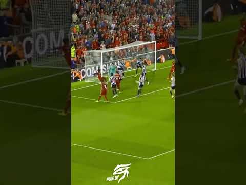 هدف ليفربول القاتل امام نيوكاسل يونايتد