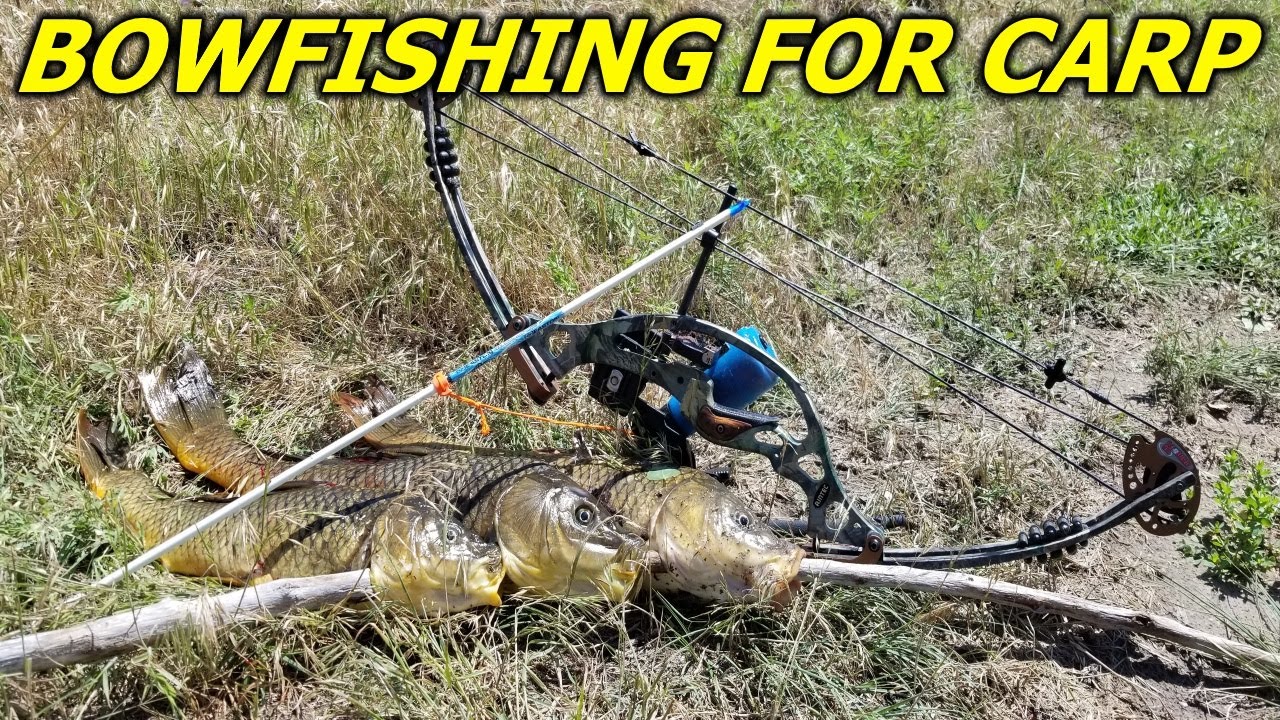 Bowfishing for INVASIVE Species Nebraska Bowfishing 2019 YouTube