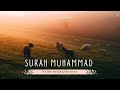 Surah Muhammad #muhammad  #surahmuhammad #viralvideo #recitation #muslim #quran #tilawat #reels #3d