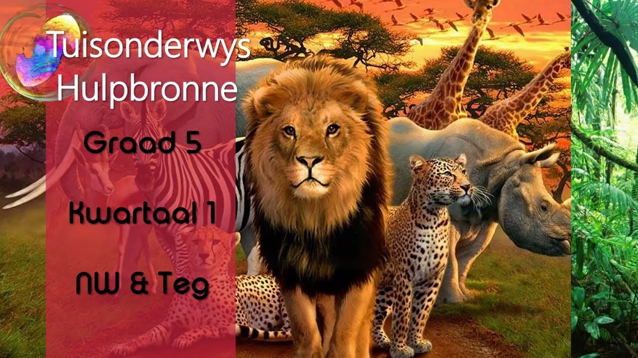 Graad 5 Kwartaal 1 Natuurwetenskappe en Tegnologie Aanbieding