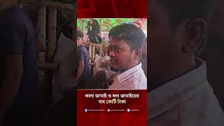 কোটি টাকার কালা ও ধলা | NEWS24