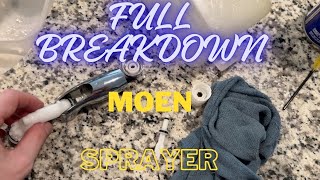 Moen Sprayer Fix