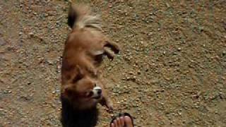 P7160029動画
