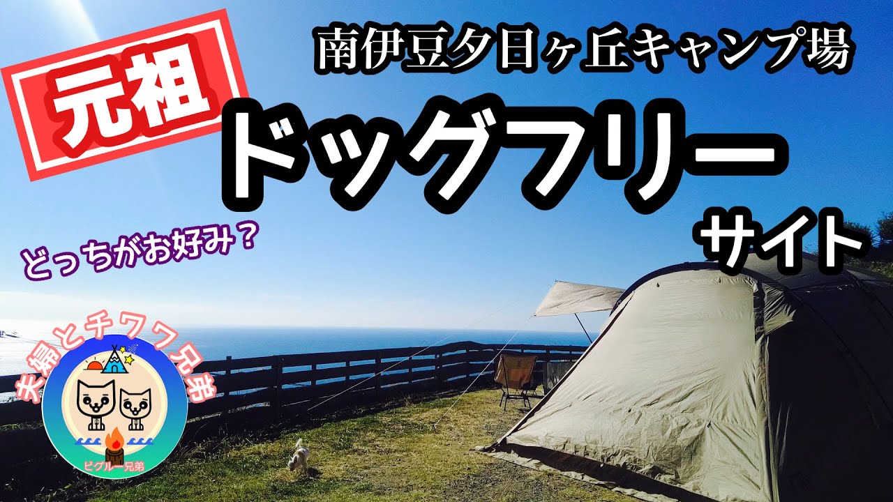 どんだけ食べるの？伊豆の幸を堪能 キャンプでエッグベネディクト⁈朝から夜まで絶景！【南伊豆夕日ヶ丘キャンプ場】ドッグフリーサイト E9サバティカル アルニカ 犬連れ夫婦キャンプ