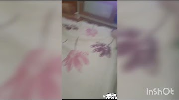 Crisps Multi Rendering Round 6