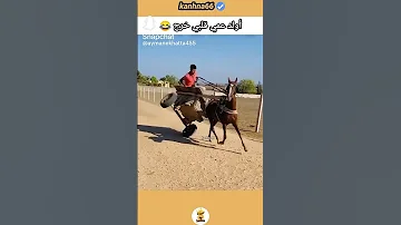 يا ولد عمي قلبي خرج ميمز Music اكسبلور تصميمي Phonk Funny ضحك دويتو نكت Youtube Youtu 