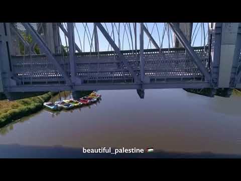 نهر العوجا يافا فلسطين 