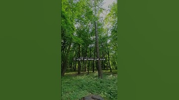 ( وَإِنَّ لِلْمُتَّقِينَ لَحُسْنَ مَآبٍ ) سورة ص 🌱 .