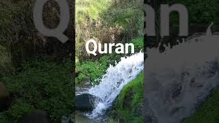 surah qiyamah ayat 11-17 #quran #motivation #islamic #viral #urdu #shorts