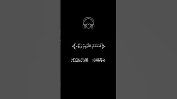 ترتيل سورة الشمس ٢ |القارئ عبدالصاحب #قران_كريم #راحة_نفسية #تلاوة_خاشعة #عبد_الصاحب