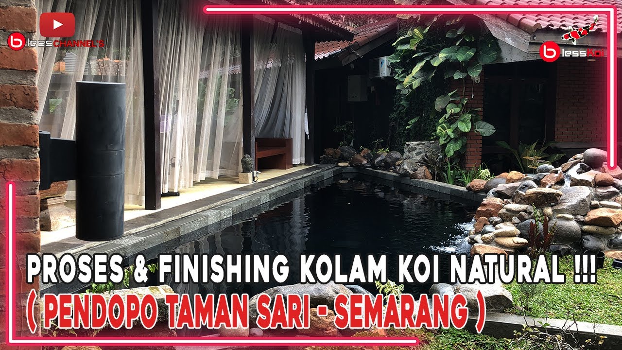 PROSES & FINISHING KOLAM KOI NATURAL❗❗❗ ( PENDOPO TAMAN SARI - SEMARANG )