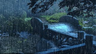 Chuva Forte para Acalmar a Mente e Dormir bem 💤 Barulho de Chuva na Floresta Enevoada