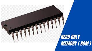 Famous Read Only Memory  ( ROM ) Net Worth