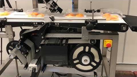 Print and Apply Labeler - Top and Bottom Labeling on Baked Goods