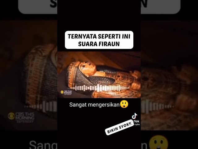 ternyata ini suara firaun class=