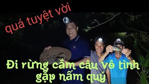 hôm nay tem đi cắm câu dính cá thác lác/vô tình gặp được nấm linh chi