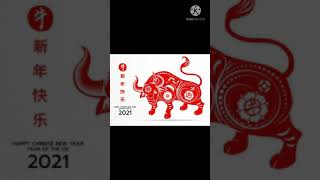 Amazing 3D Golden Bull & Happy Chinese New Year 2021 [Year Of The Ox]