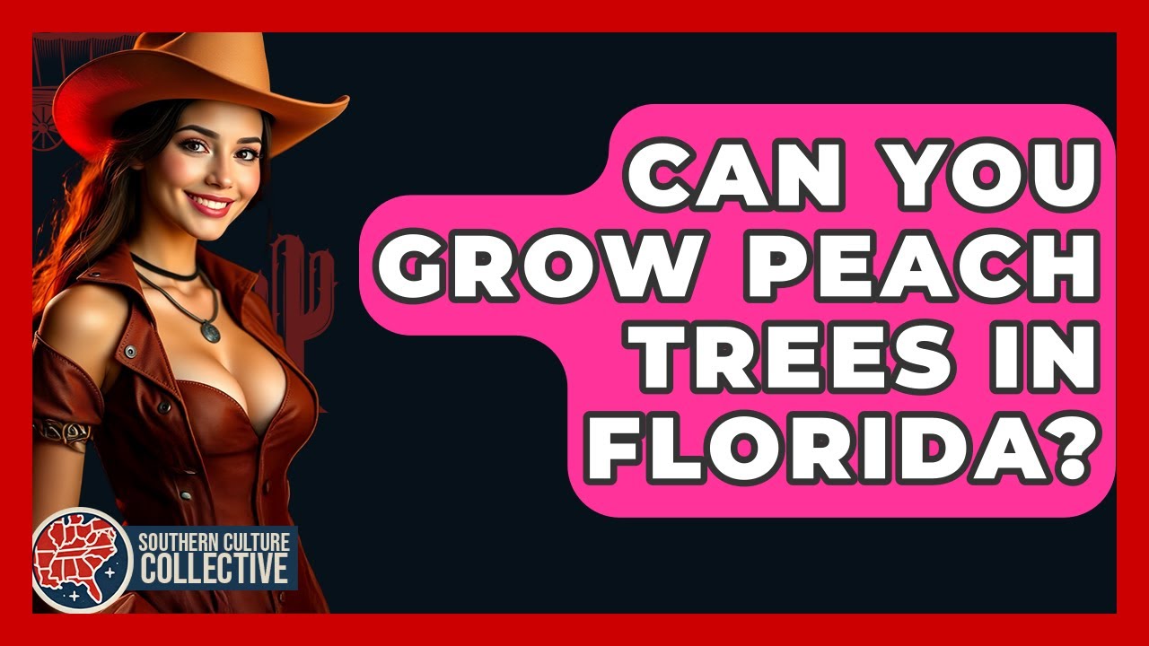 Can You Grow Peach Trees In Florida Southern Culture Collective can-you-grow-peach-trees-in-florida-southern-culture-collective