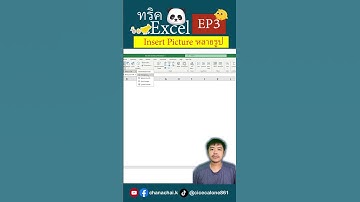 EP3 ทริค Excel Insert Picture แทรกรูปภาพหลายรูปพร้อมกัน#excel #excelวัยทํางาน