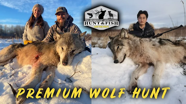 Pro Membership Drawing for Premium Wolf Hunt
