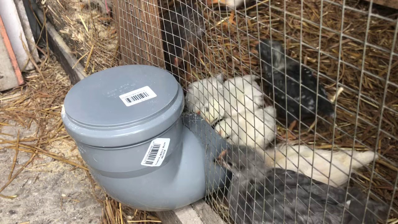 Výroba krmítka pre kuriatka