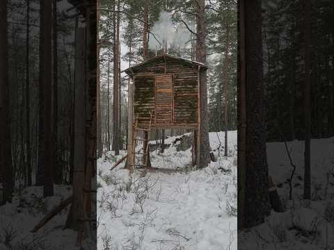 Dondurucu koşullarda bir bushcraft ağaç evi inşa ediyorum