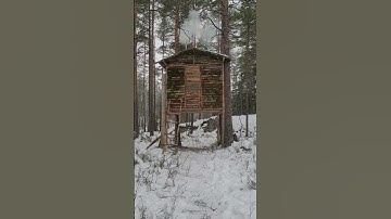 Building a bushcraft treehouse in freezing conditions