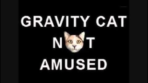Gravity Cat Not Amused!