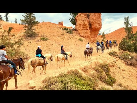 How to Ride a Horse into Bryce Canyon National Park