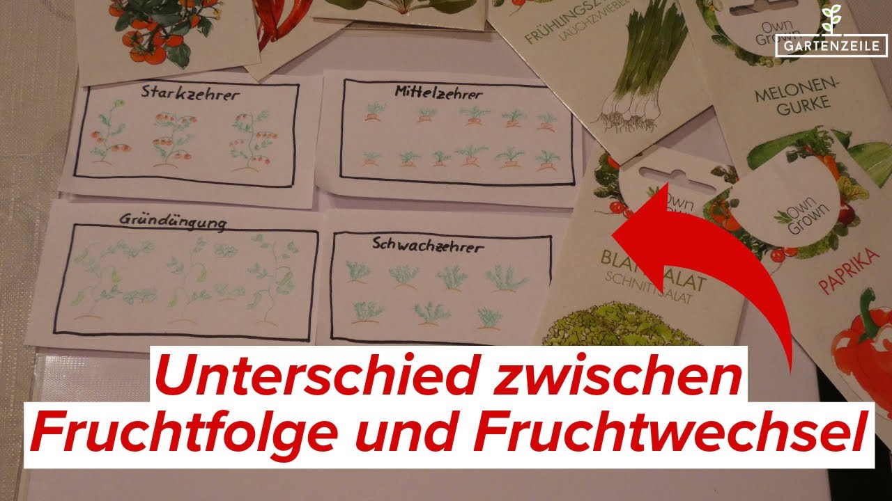 Unterschied zwischen Fruchtwechsel und Fruchtfolge