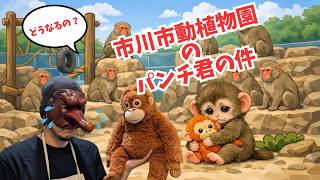 市川市動植物園パンチ君が可愛すぎてかわいそうな件 - YouTube