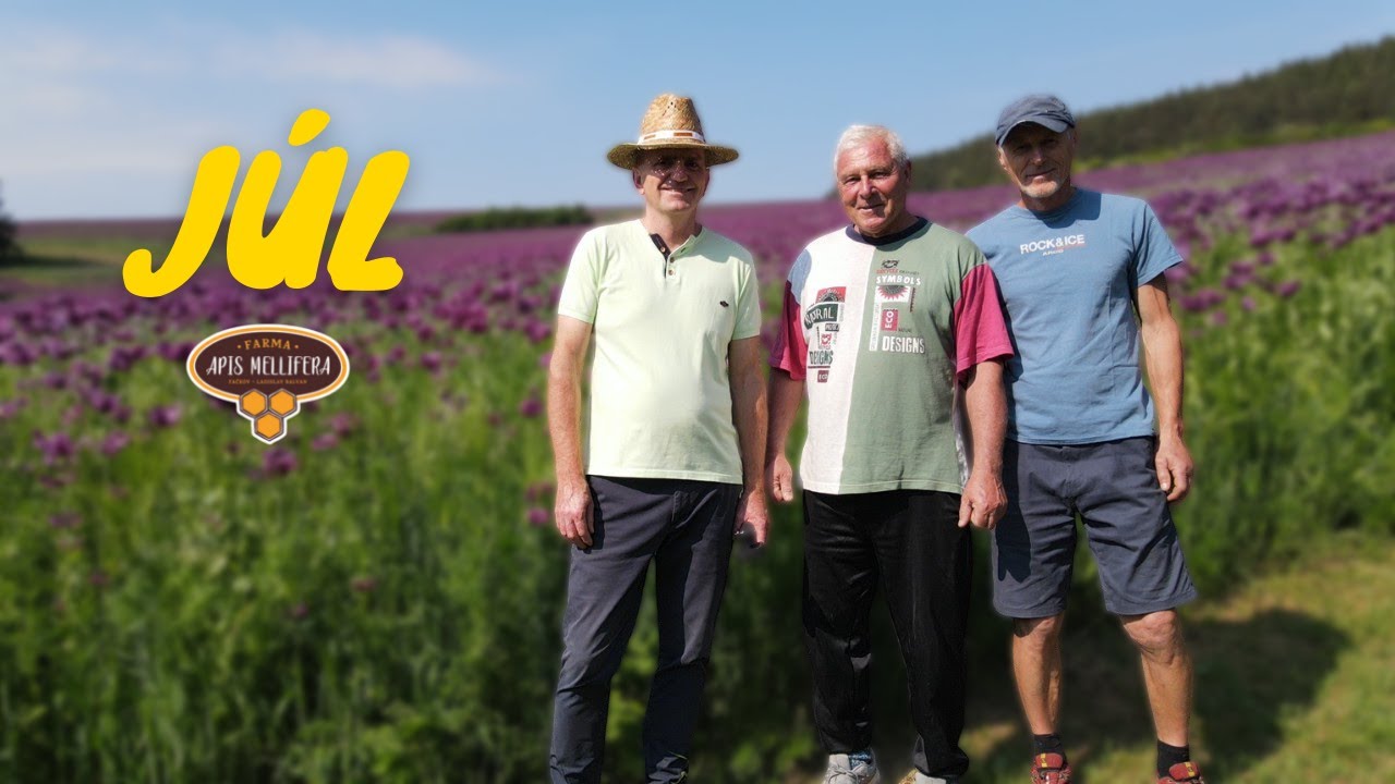 Včelársky rok v Rajeckej doline - JÚL