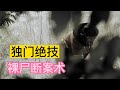 仅仅只是一具腐烂的尸体 没有其他线索 法医还是找到了凶手 仅仅只是一具腐烂的尸体 没有其他线索 法医还是找到了凶手