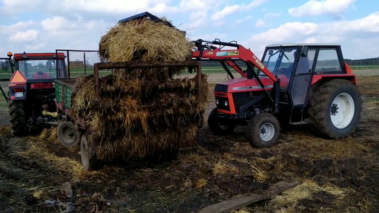 Obornik Orka Włókowanie czyli uprawa pod zasiew kukurydzy 2020 (Ursus c 360/C 360 3P/C 385)