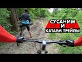 Катаю трейлы на фэтбайке | Хочу лёгкую мтб-шку!