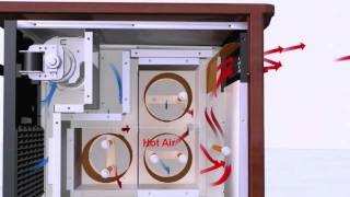 LIFESMART POWER PLUS INFRARED HEATER