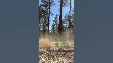 DJI FPV Master Airscrew Propeller Test Video Went Well…. 🤦‍♂️ #dronecrash #djifpv