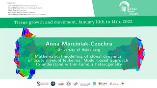 Mathematical modelling of clonal dynamics of acute myeloid leukemia...