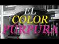 Reseña de El color púrpura de Alice Walker/El dolor de la esclavitud