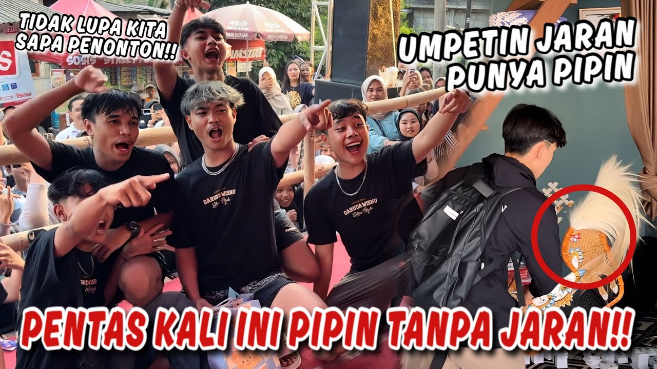KALO DIBIARKAN TERUS BISA BERBAHAYA !! Kita Harus Hilangkan Jaran Pipin.