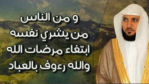 🌷ومن الناس من يعجبك قوله في الحياة الدنيا ويشهد الله على مافي قلبه للقارئ ماهر المعقلي 🌷