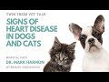 Signs Of Heart Disease In Dogs And Cats │Twin Trees Vet Talk (FREE VET ADVICE PODCAST)